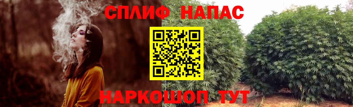 ГАШ Малгобек